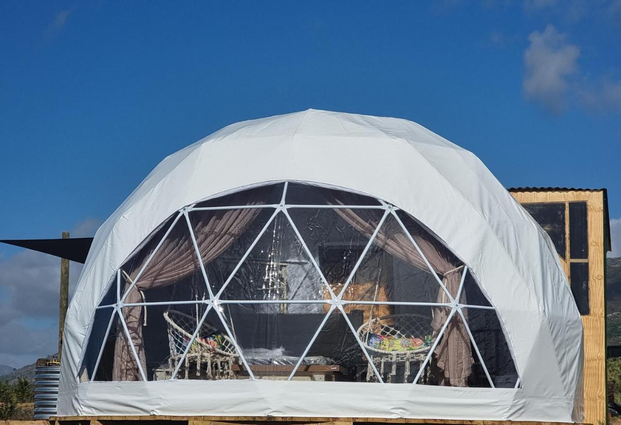 Pom Gratz - Ecodomes Hotel Hartebeesrivier Exterior photo